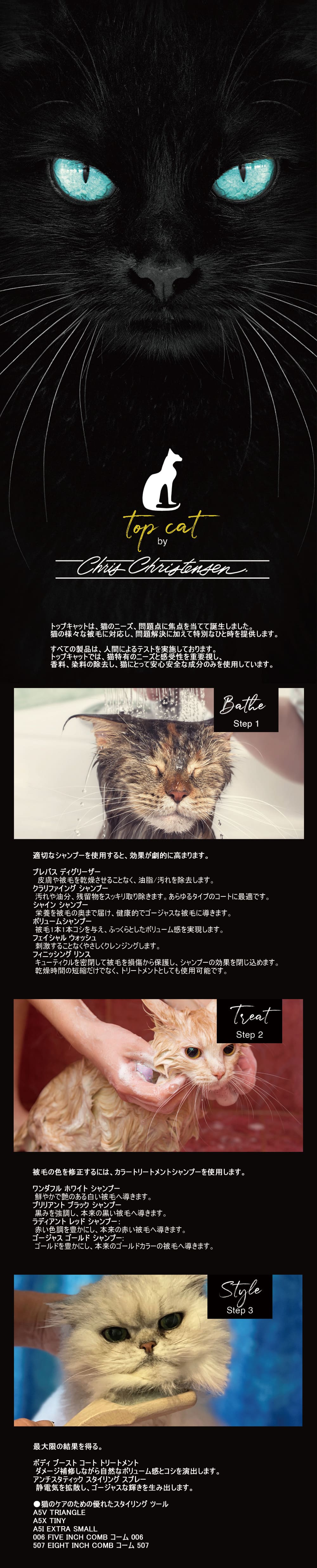 TOP CATについて