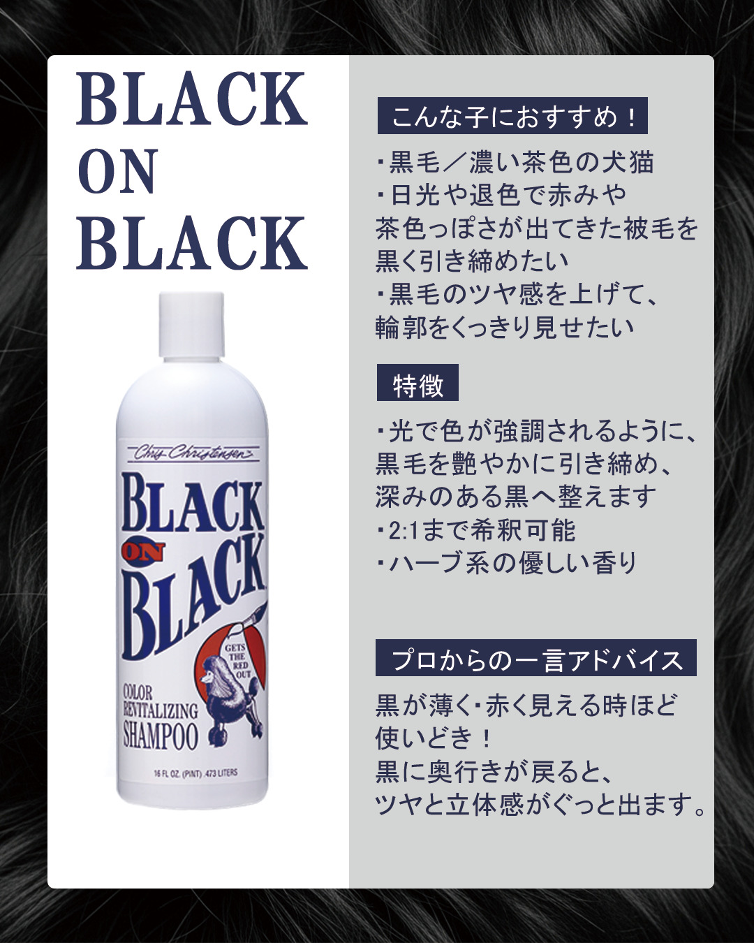 BLACK ON BLACK ブラック オン ブラック シャンプー