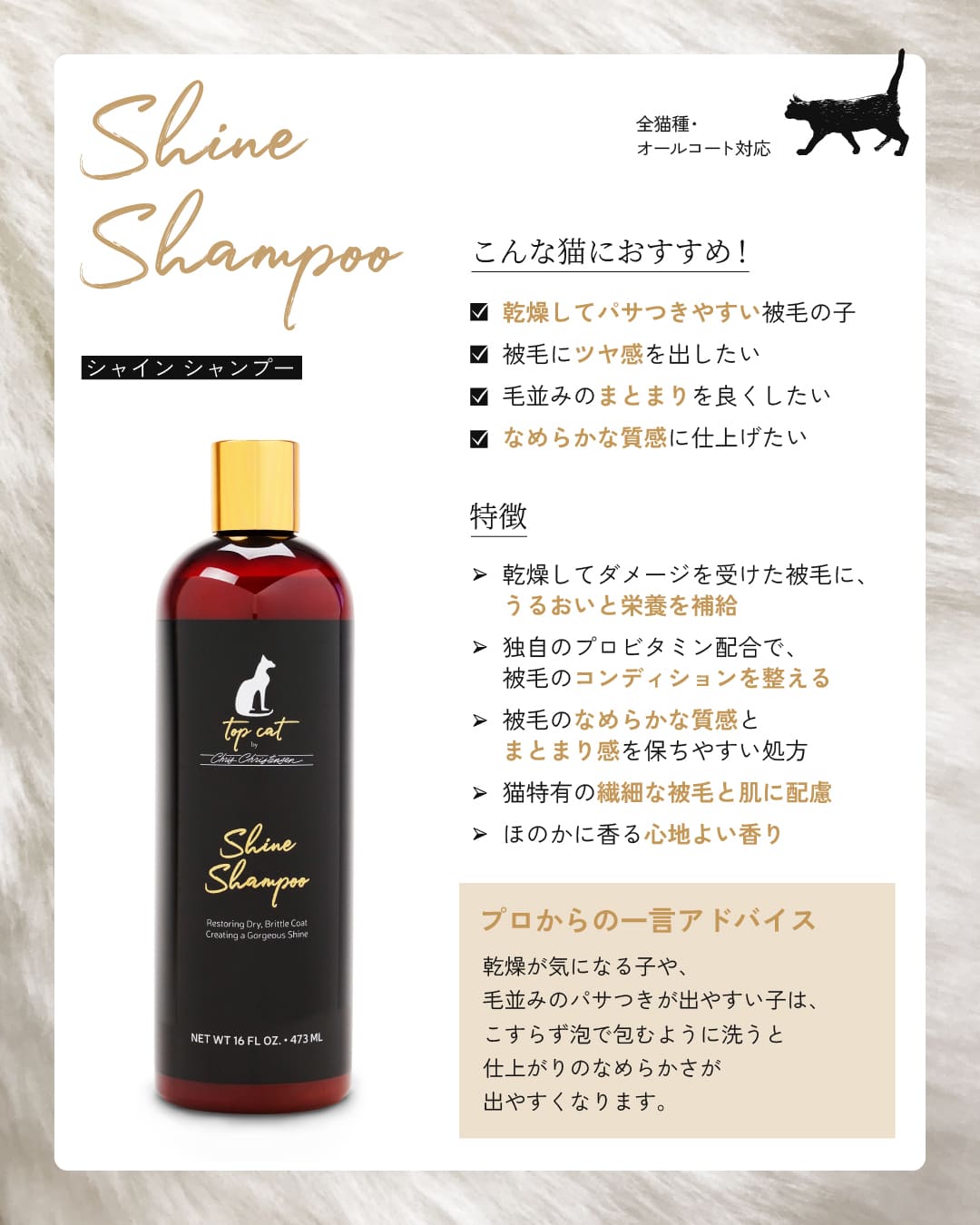 TOP CAT SHINE SHAMPOO シャイン シャンプー