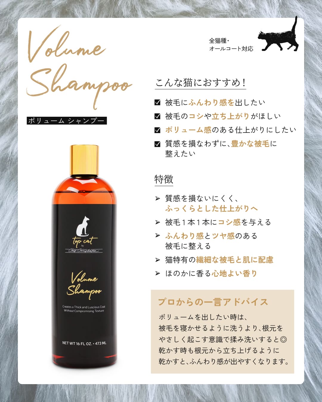 TOP CAT VOLUME SHAMPOO ボリューム シャンプー