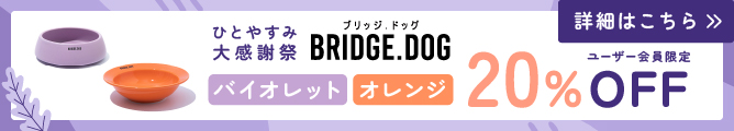 ブリッジドッグウィークリーセール⑤