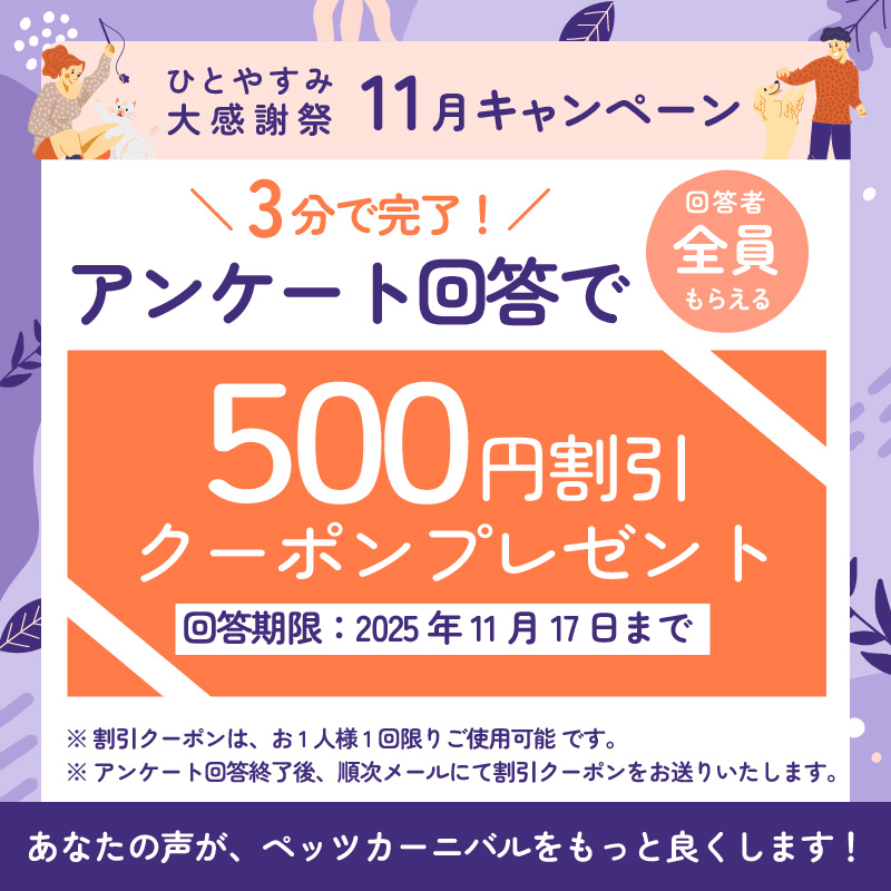 アンケートキャンペーン