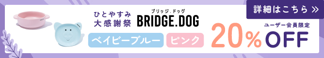 ブリッジドッグウィークリーセール11月①